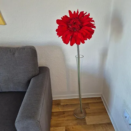Picco 2 Apartment *